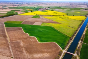 Risò: the culture of rice combining agriculture, history and landscape