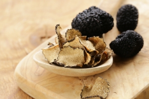 Black truffle hunting in Italy’s Molise, Umbria and Emilia Romagna regions  