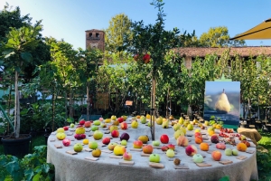 Paderna Castle: Harvesting the Fruits of the Castle in Emilia Romagna