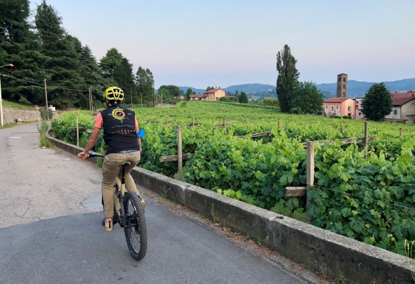 Ivrea and Turin's Canavese area add E-bike tours to their popular guided walking tours 