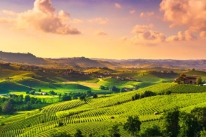 Opera Home Tour’s tailor-made property viewing tours in Piedmont