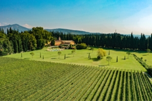 Villa Cordevigo Wine Relais.  Vineyards and wine therapy 
