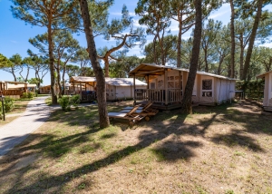 Baia Holiday. City breaks in Rome, Venice and the Gulf of Trieste 