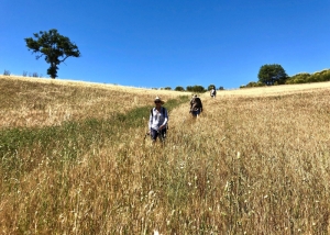 Off beat, on foot. Maremma Safari Club’s first 2022 walking tour in Tuscany 