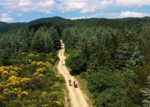 Travelling green: the charter of values for sustainable tourism in Tuscany 