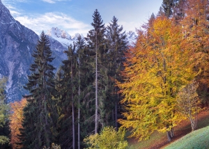 Veneto. Autumn foliage and culinary delights in Belluno’s Dolomites