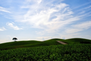 Visit Emilia’s ancient historical paths are the best way to explore the central Italian region 