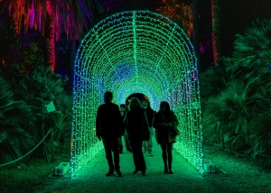 Trame di Luce: the light art show returns to Rome&#039;s Botanical Gardens