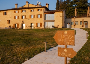 La Collina dei Ciliegi. Grape harvesting at the Ca' del Moro Wine Retreat