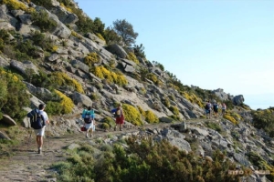New Year's trekking on the island of Elba