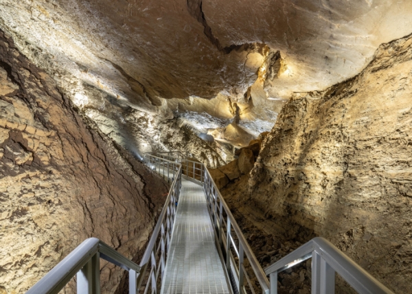 World Caves and Karst Day: the cave heritage of Friuli-Venezia Giulia