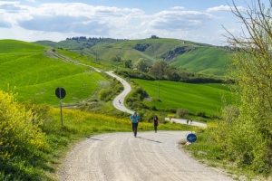 The Via Lauretana Walk from Siena to Cortona appealed to all ages