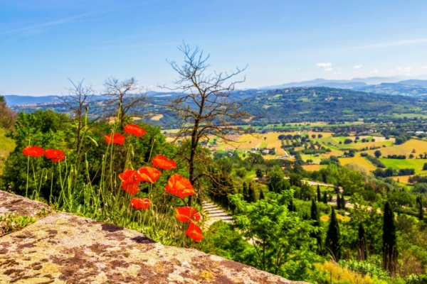 Tuscia in Fiore. Spring events for a day out in Upper Lazio