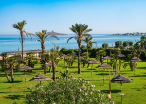 Dimsi Group. Pioneering experiential tourism in the heart of Sicily