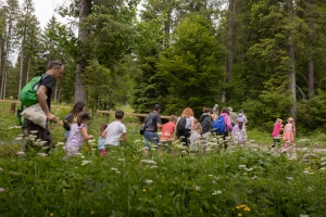 Friuli Venezia Giulia: the healing forest in the village of Sauris 