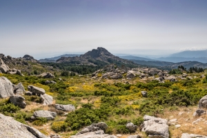 The Sardinia you’ve got to discover: Monte Limbara and Berchidda