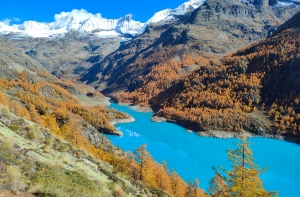 Autumn in the Aosta Valley: foliage, castles and vineyard experiences