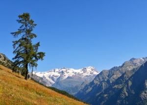 The summer season has kicked off at Monterosa Ski in the Valle d’Aosta 
