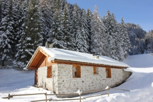Chalet in Dolomites - Moena - Val di Fassa
