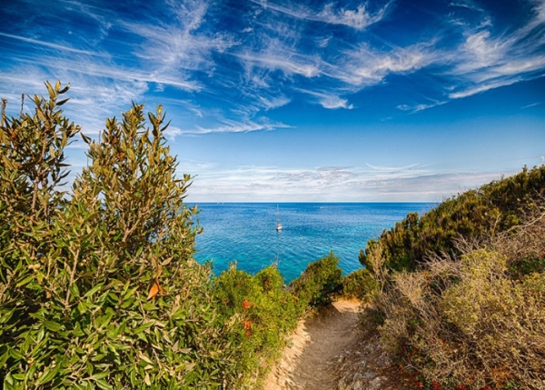 The Acqua dell’Elba Foundation launches the Via dell’Essenza