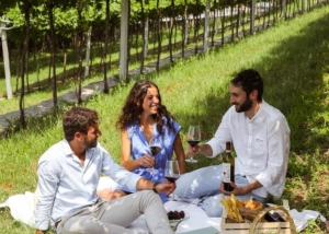 Tommasi’s wine trails from Friuli, to Tuscany, to Basilicata 