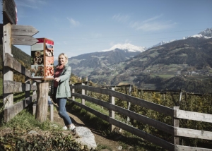 Autumn walks in Tirolo in South Tyrol enjoying the colours of nature