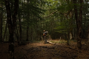 Sicily beyond the sea: walks and trails to explore in spring