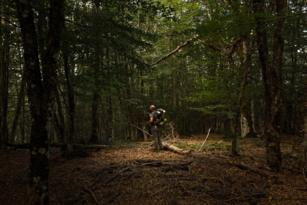 Sicily beyond the sea: walks and trails to explore in spring