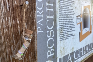 Nature treasure hunts for children, to share on social media, just 15 kilometres from Parma