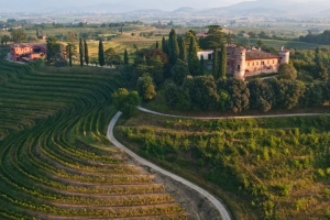 Six itineraries to discover the Friuli Venezia Giulia’s fascinating Wine and Food Trails 