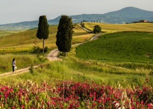 The Val d’Orcia valley. The Tuscany of everyone’s dreams