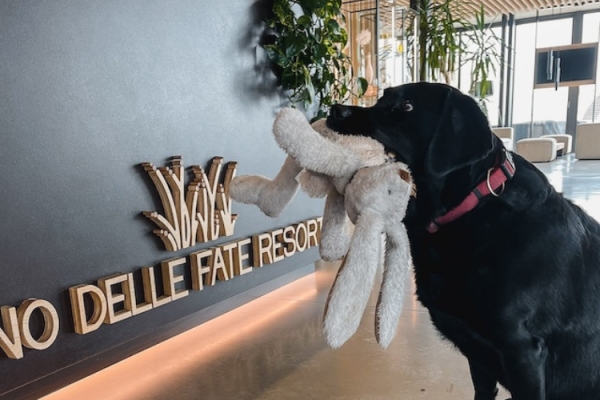 Dogs need a holiday too, and in Bibione eco-resort looks after them