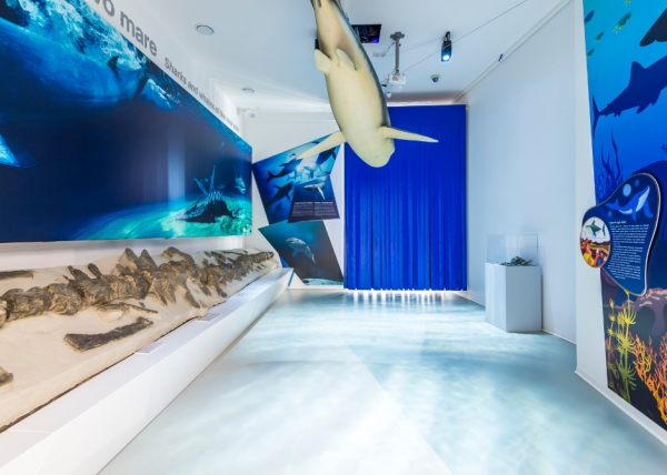 Confiscated mafia land becomes the Museum of the Ancient Sea and Biodiversity (MuMab)